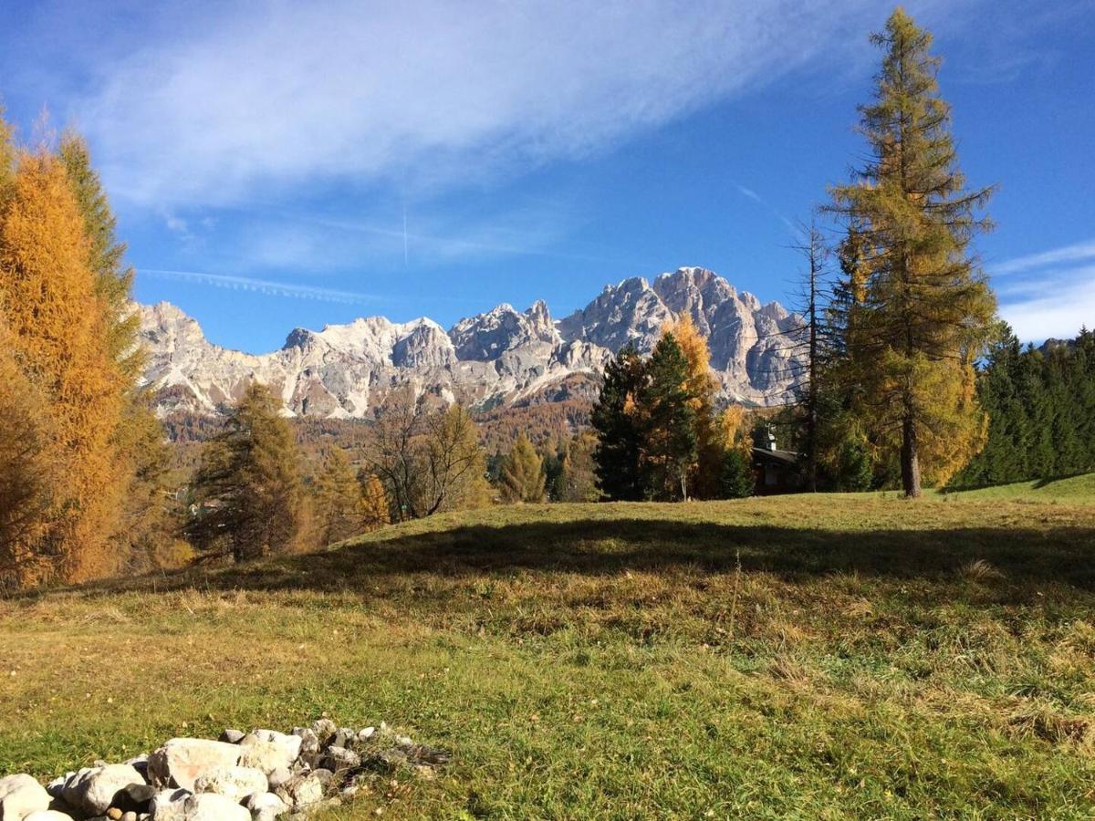 Luxury Panoramic 3Br Apt 2Min To Centre 5Min To Lifts Cortina d'Ampezzo Exterior photo